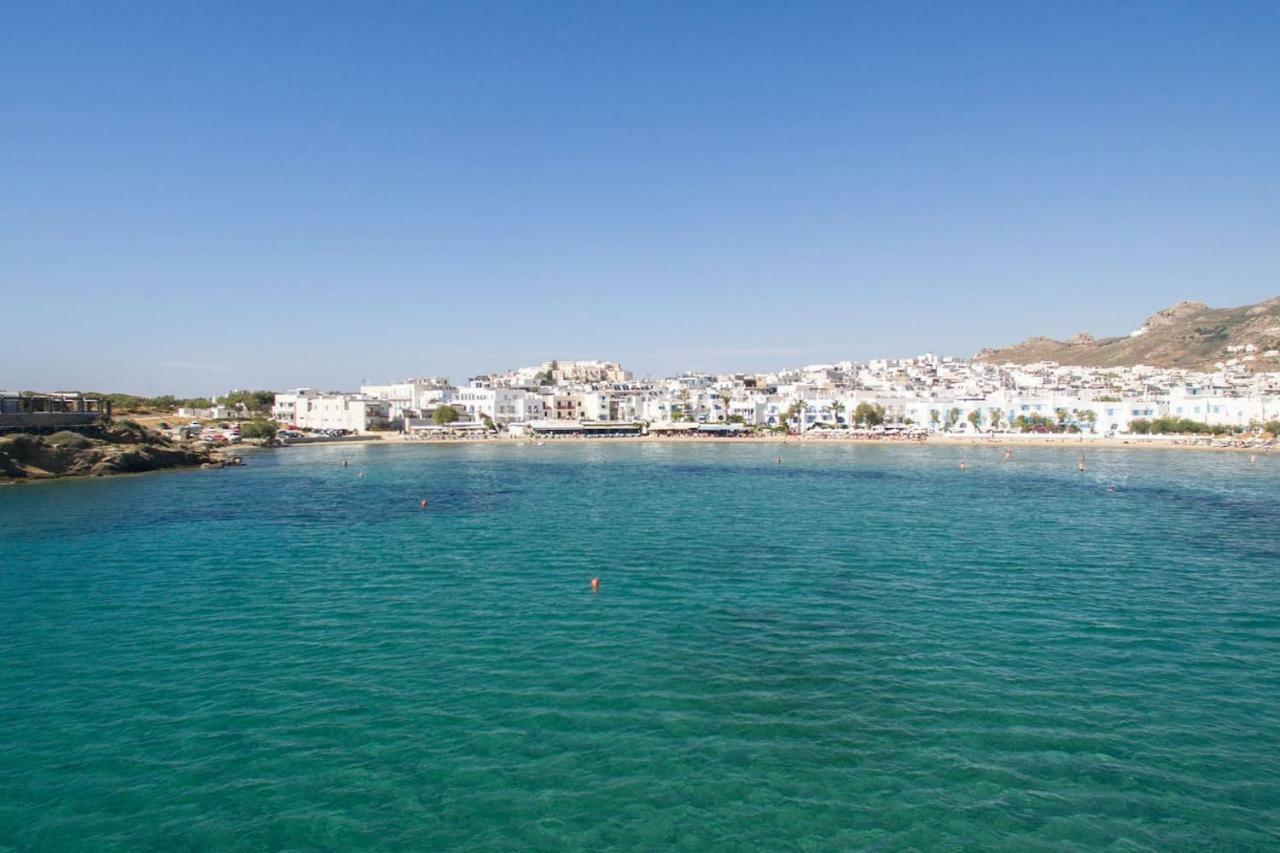 Castle View, Apartment Naxos City Exterior foto